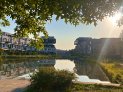 Wie gelingt die Transformation zur Schwammstadt?