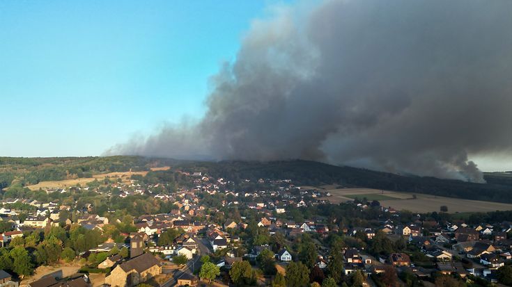 Wie die Folgen von Waldbränden versichert sind