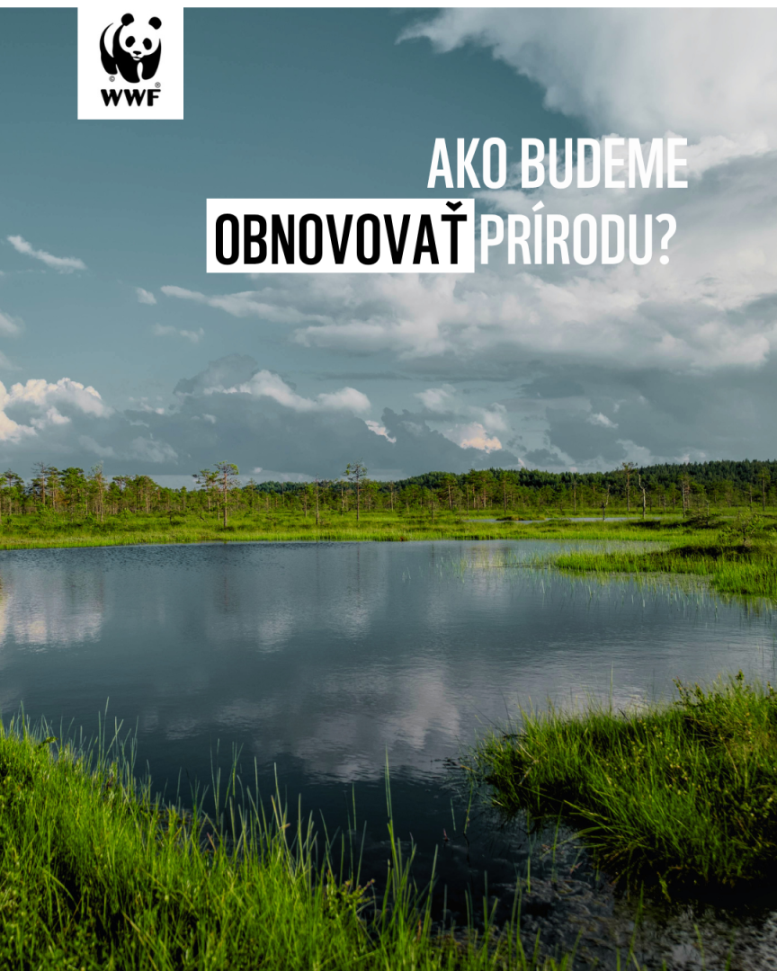 Slovensko má možnosť ukázať ako bude obnovovať prírodu.
