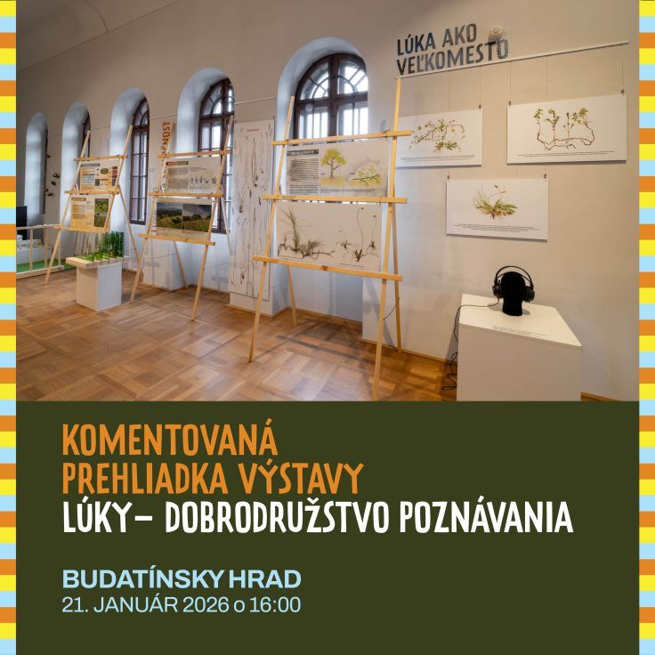 Komentovaná prehliadka výstavy Lúky – dobrodružstvo poznávania