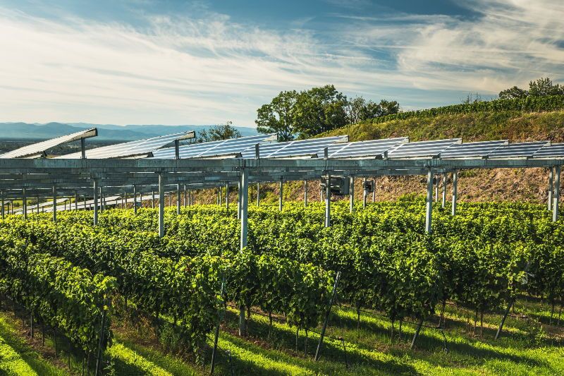 Eurecat participa en el consorcio TECSOL-FRUT, que impulsará la tecnología agrivoltaica para mejorar el rendimiento y la sostenibilidad de los cultivos frutales