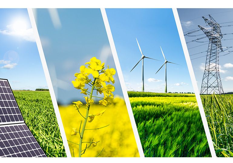 Politechnika Śląska partnerem w europejskim projekcie klimatycznym PEARL LIFE PL. Uczelnia zyska blisko 900 tysięcy euro dofinansowania