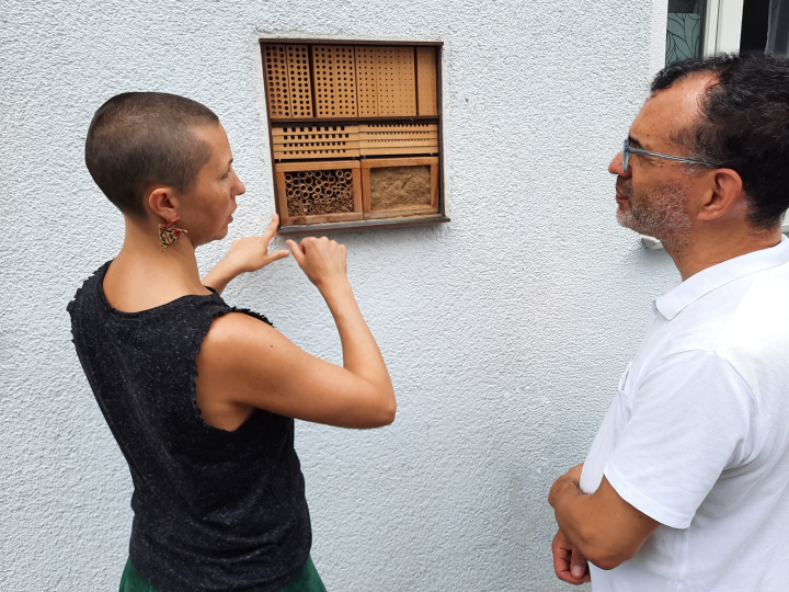 Stadtwohnung für Insekten: Feldversuch UrbanInsects