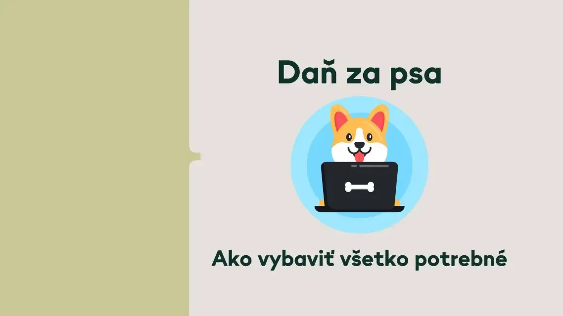 Ste majiteľom štvornohého miláčika? Poradíme vám ako vybaviť všetko potrebné.