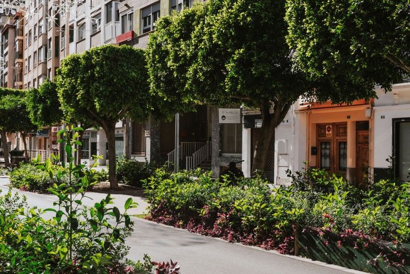 Impulsamos la formación docente en biodiversidad urbana