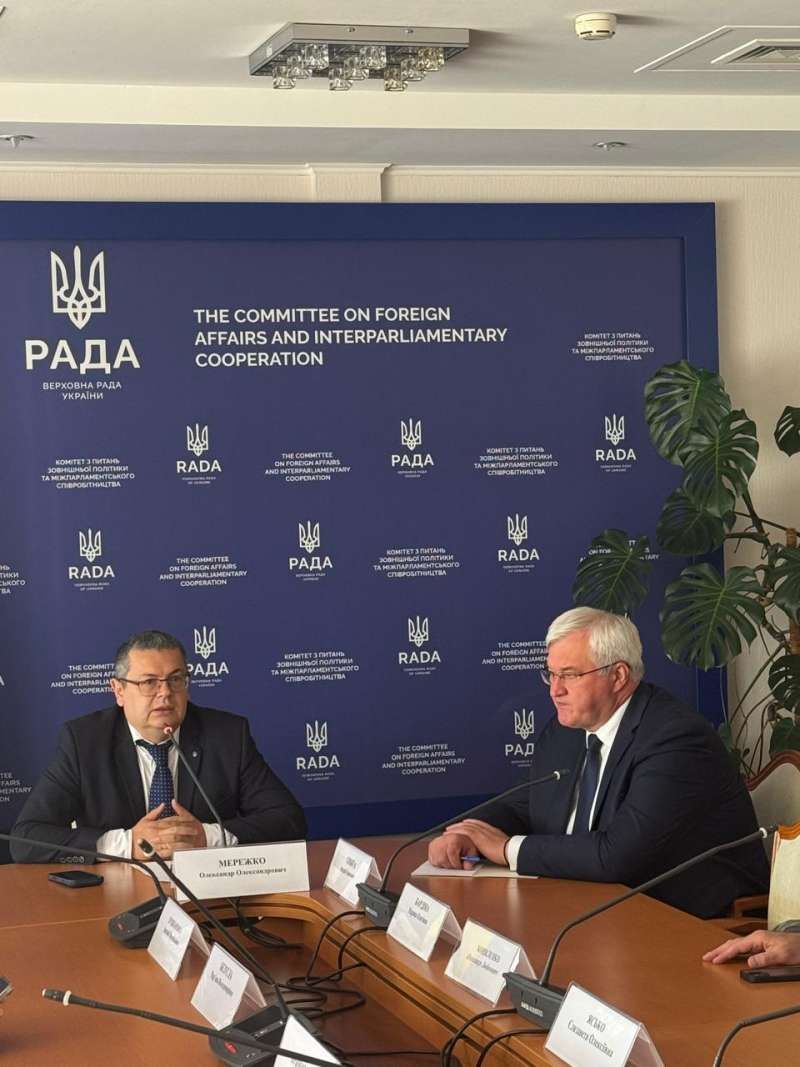 Комітет підтримав призначення Андрія Сибіги на посаду Міністра закордонних справ України