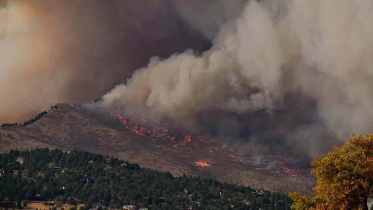 Waldbrände in Deutschland: Welche Versicherung zahlt?