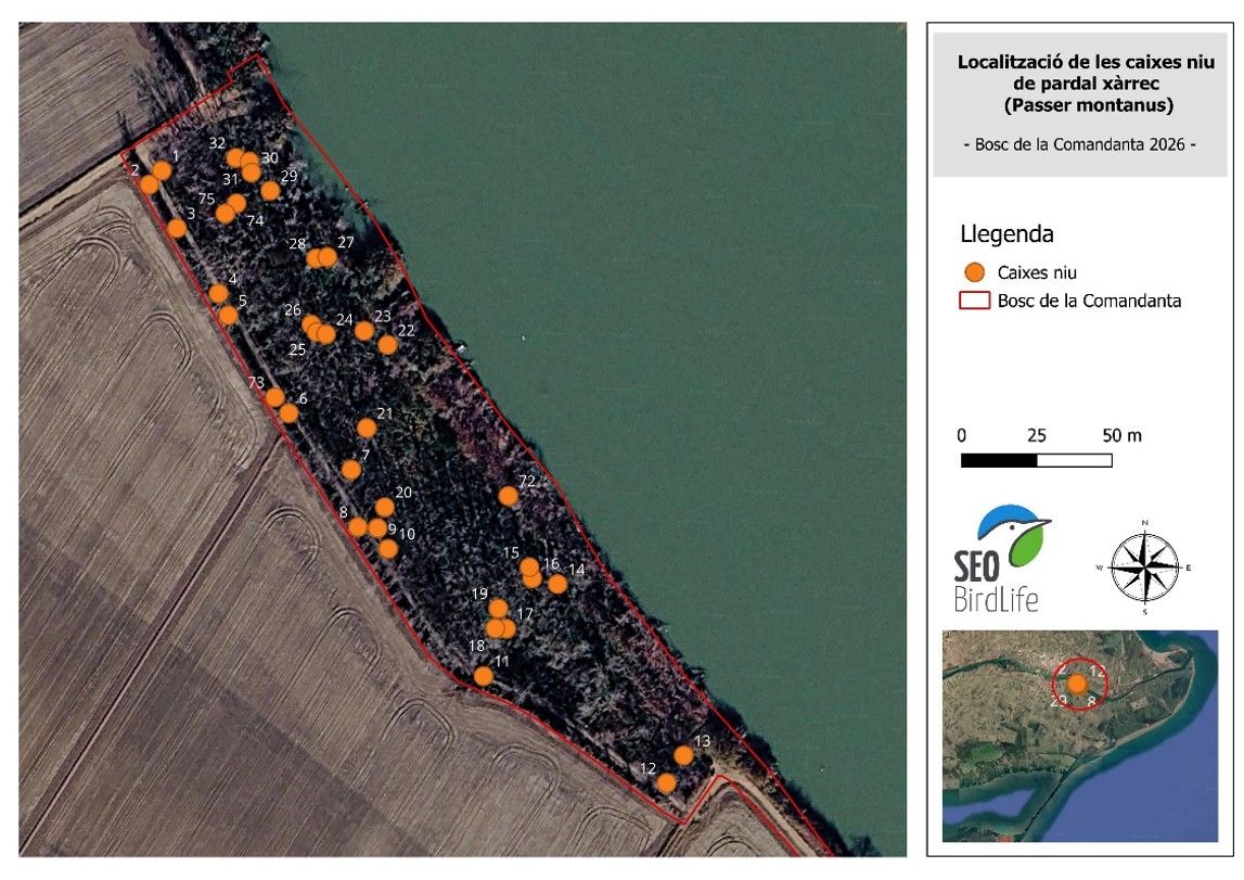 Gobernanza, conservación y divulgación del Bosc de la Comandata-Delta del Ebro