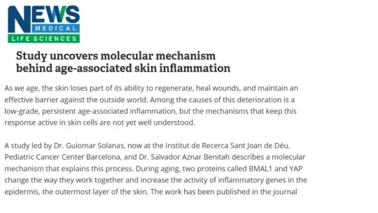 News Medical Life Sciences - Study uncovers molecular mechanism behind age-associated skin inflammation