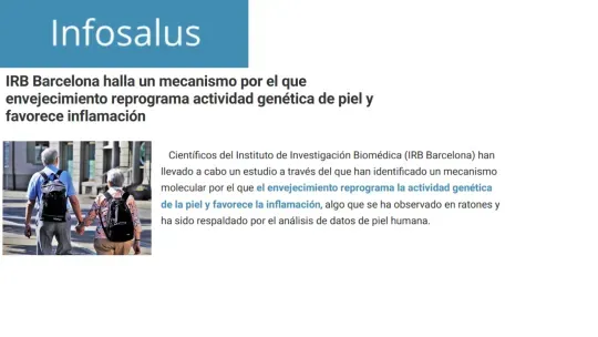 Infosalus - IRB Barcelona halla un mecanismo por el que envejecimiento reprograma actividad genética de piel y favorece inflamación