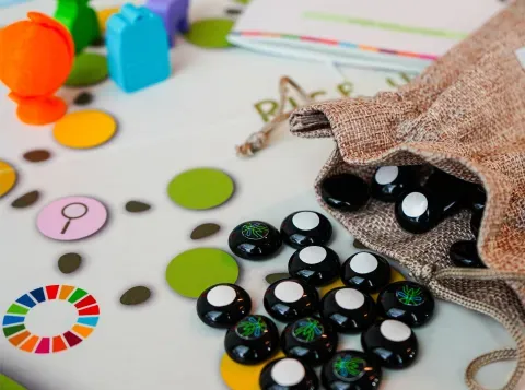Van studieproject naar onderneming: Rice Up geeft inzicht in samenhang van Sustainable Development Goals