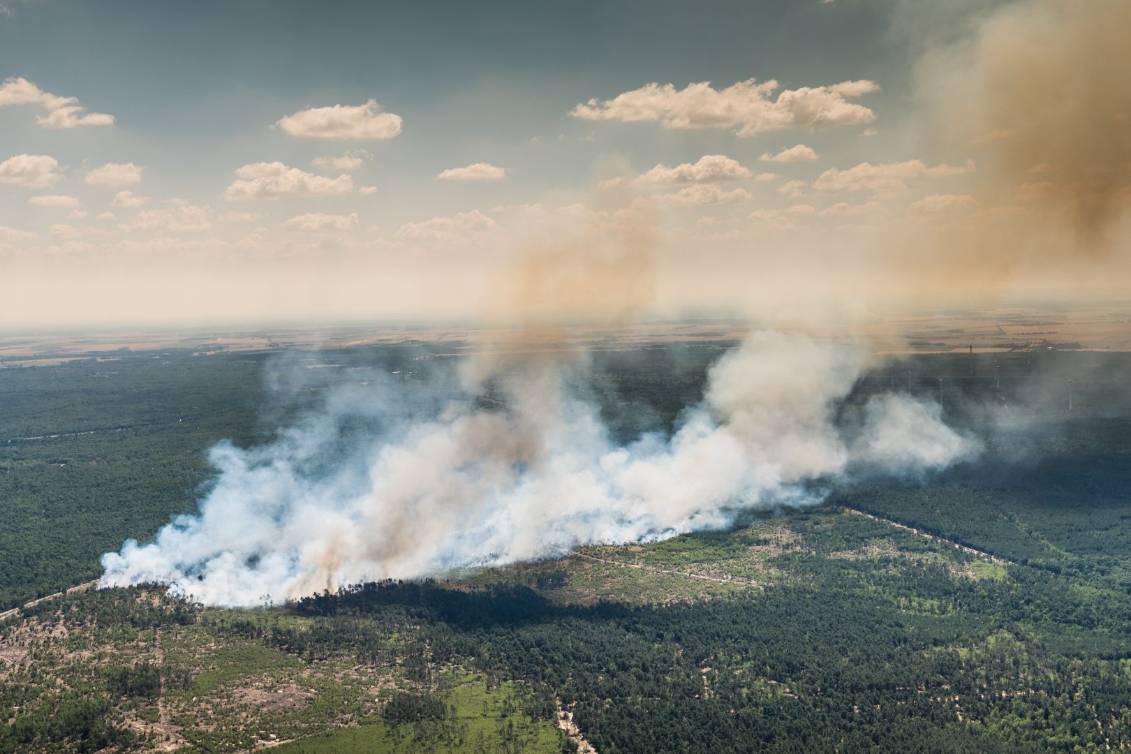 Waldbrände – Paradigmenwechsel bei der Prävention erforderlich