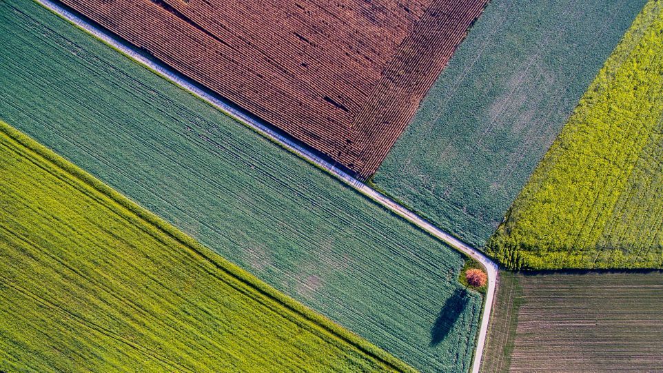 Zwischen Erhalt und Ertrag