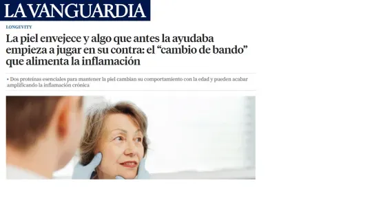 La Vanguardia - La piel envejece y algo que antes la ayudaba empieza a jugar en su contra: el “cambio de bando” que alimenta la inflamación