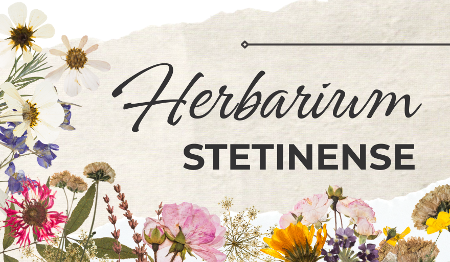Herbarium US na liście strategicznych infrastruktur badawczych
