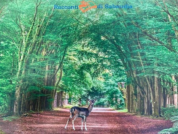 ‘Racconti di Sabaudia’: modi diversi di descrivere la vita oltre le sbarre