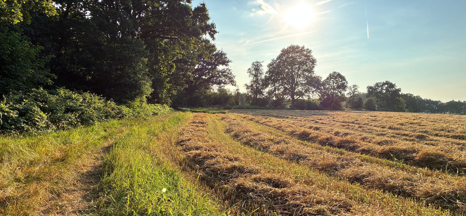Een mooier, sterker en meer natuurrijk Oldenaller