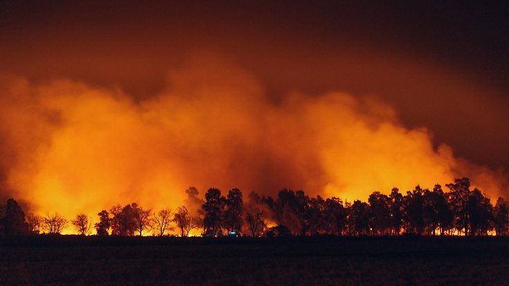 „Aufklärung über die Waldbrandgefahren ist besonders wichtig“