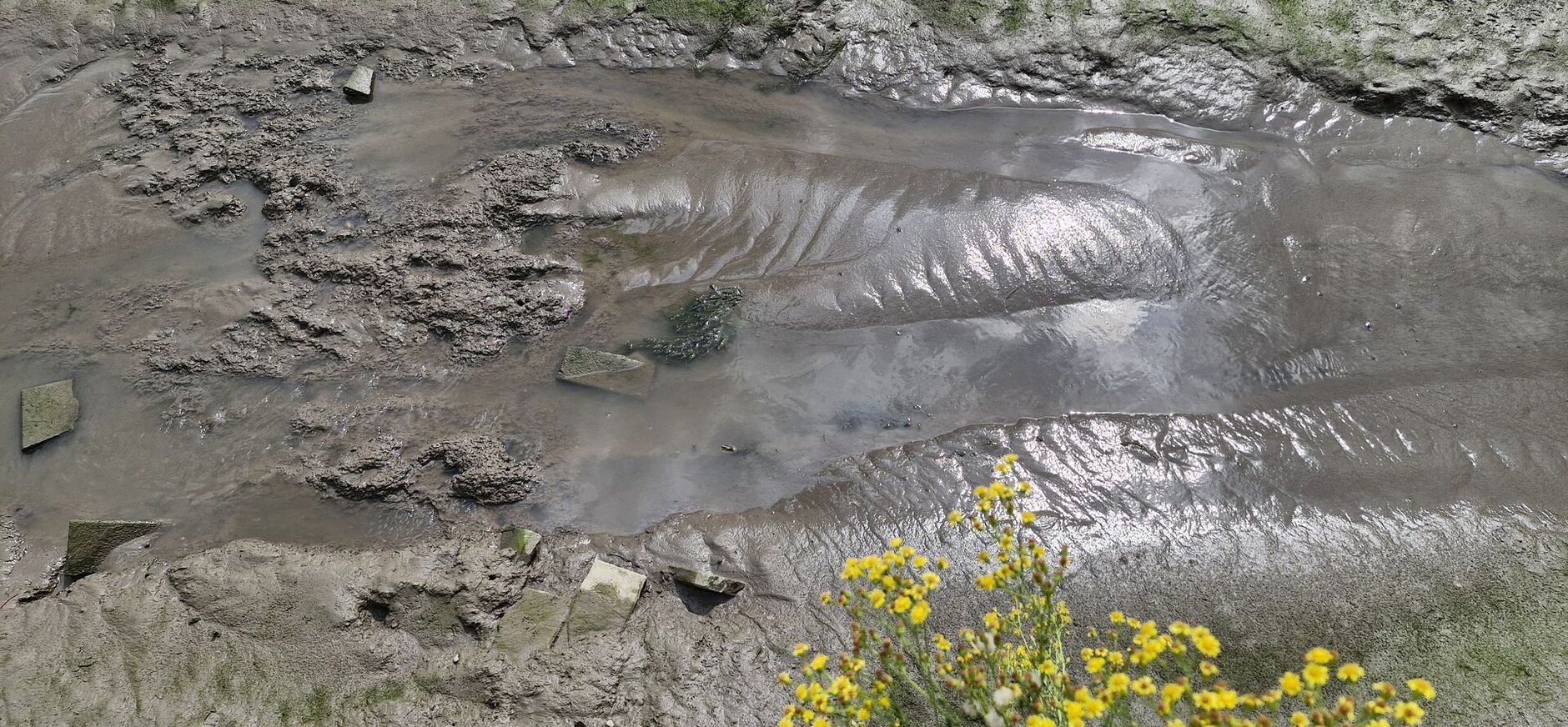 Natuurmonumenten na waarschuwing Rekenkamer: minister moet nu komen met nationale droogteaanpak