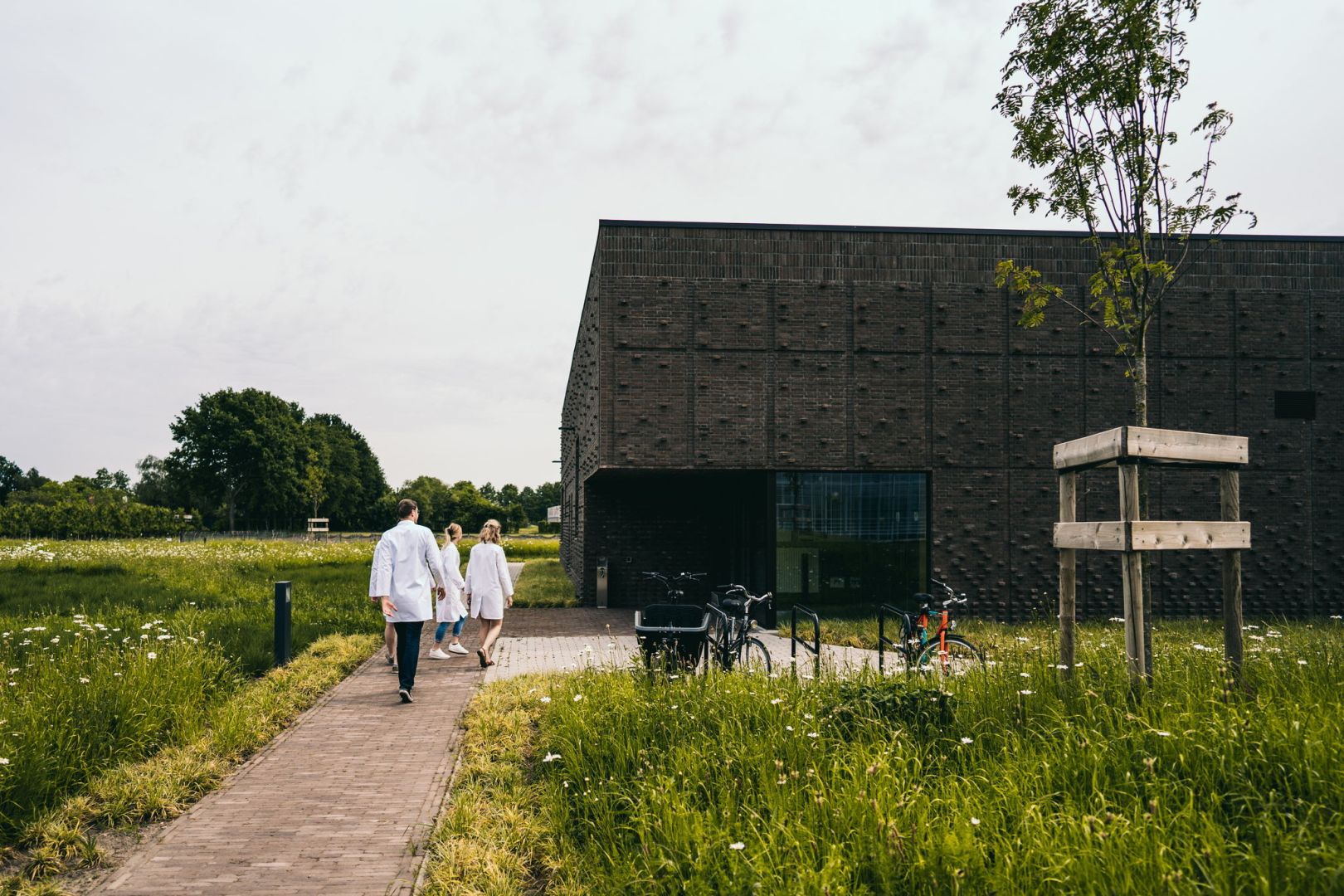 Anderstalige nieuwkomers Thomas More krijgen extra taal- en studieondersteuning