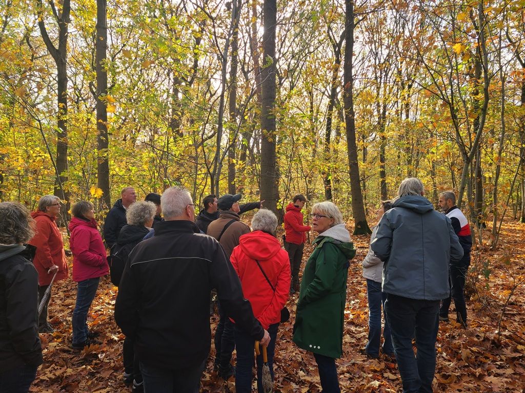 Boscafés over werkzaamheden in Stadsbos013