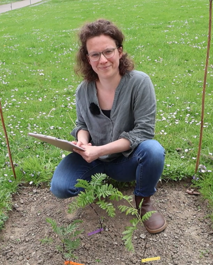 Nach einem Sommer Forschung im eigenen Garten