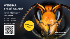 Bezplatný webinár sršeň ázijský - Ekofond SPP