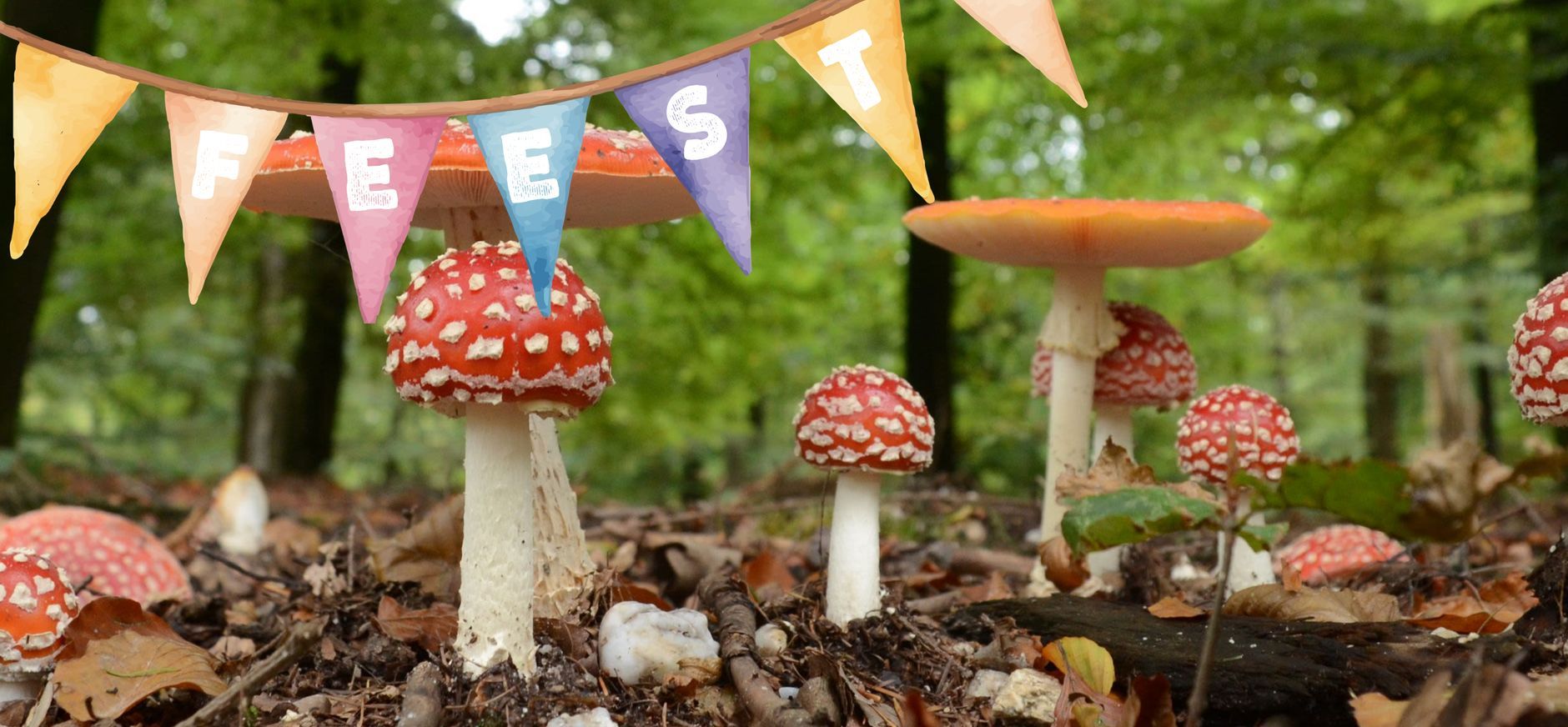 Zondag 11 oktober: jubileumfeest natuurgebied Huis ter Heide