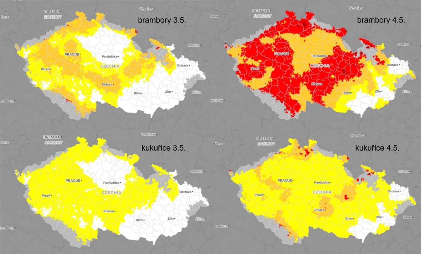 V noci na čtvrtek mohou přijít mrazy, nejohroženější jsou brambory