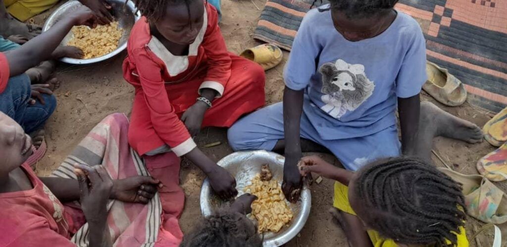 Waarom is er zoveel honger in de wereld?