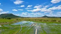 We’re catalyzing megaton-scale climate impact in Brazil