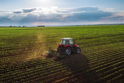 Le Crédit Agricole mobilise 1,5 milliard d'euros pour accompagner les exploitations agricoles face aux aléas climatiques exceptionnels