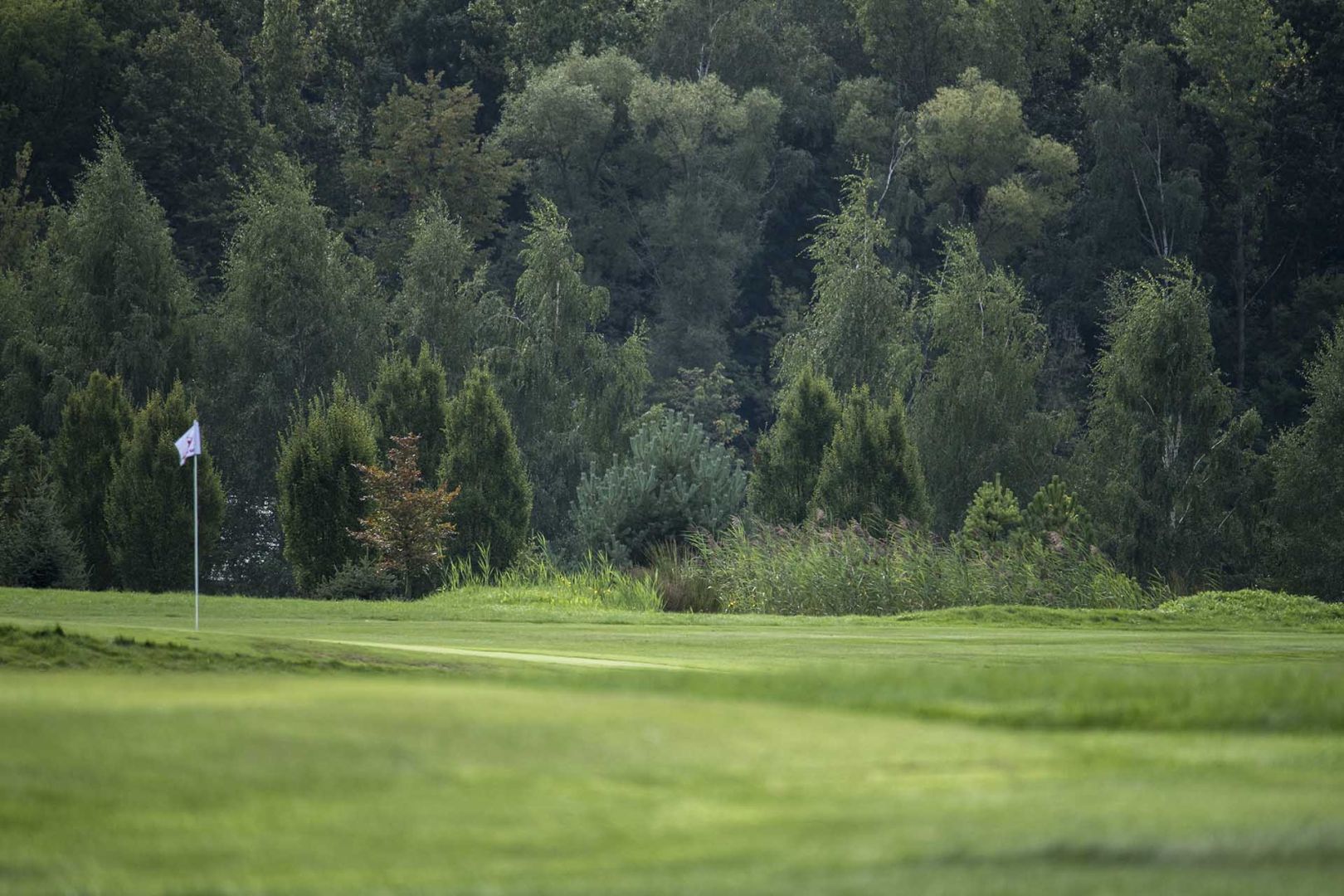Wystartował finał Audi Junior Tour i Audi Kids Tour