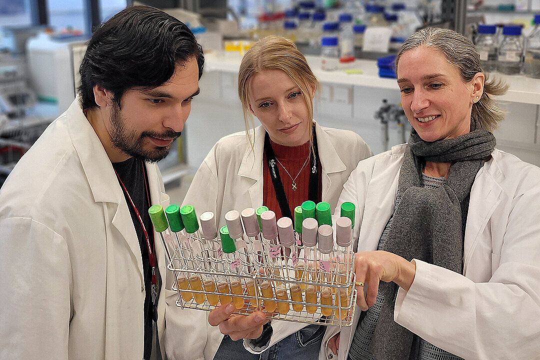 Renommierte Auszeichnung für HHU-Biologin Prof. Dr. Eva Nowack erhält Miescher-Ishida Preis 2026