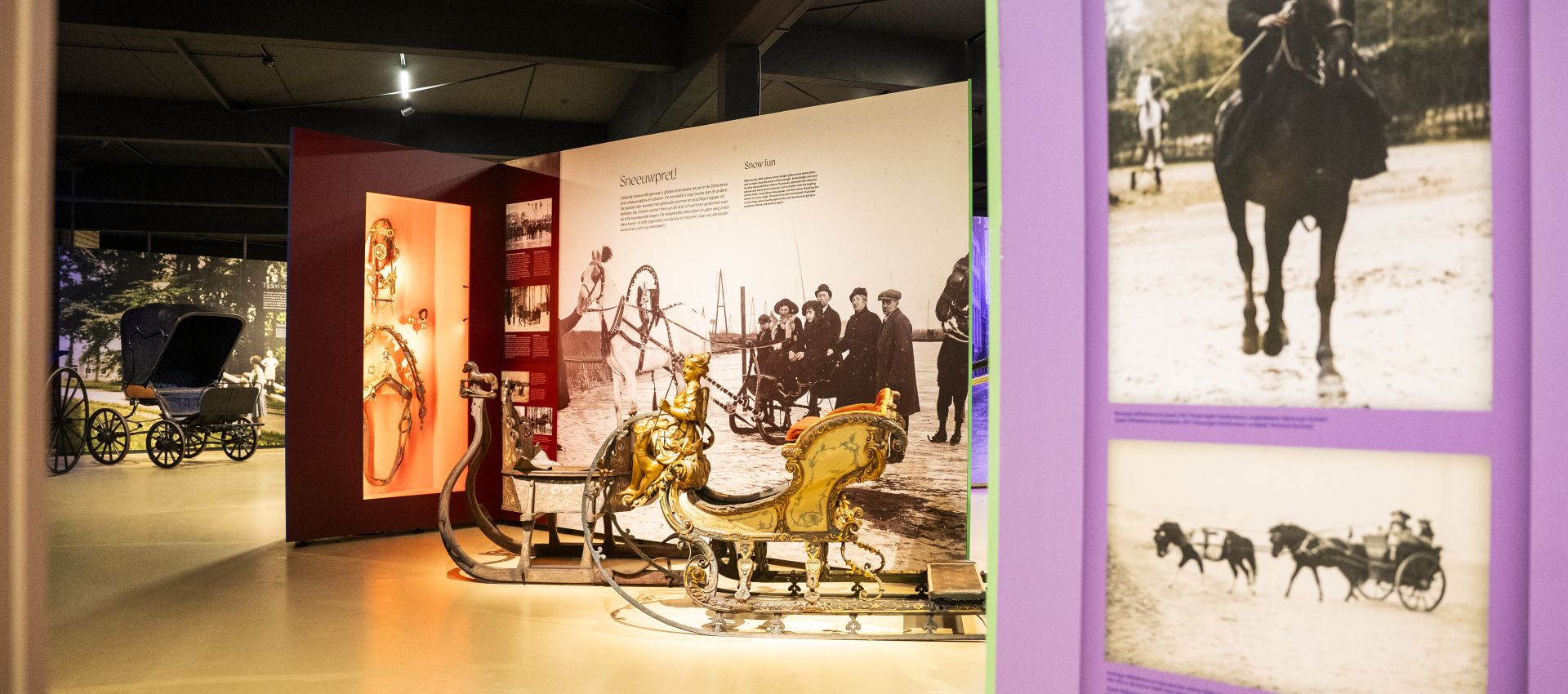 Nationale Museumweek 2026: ontdek de musea in onze provincie