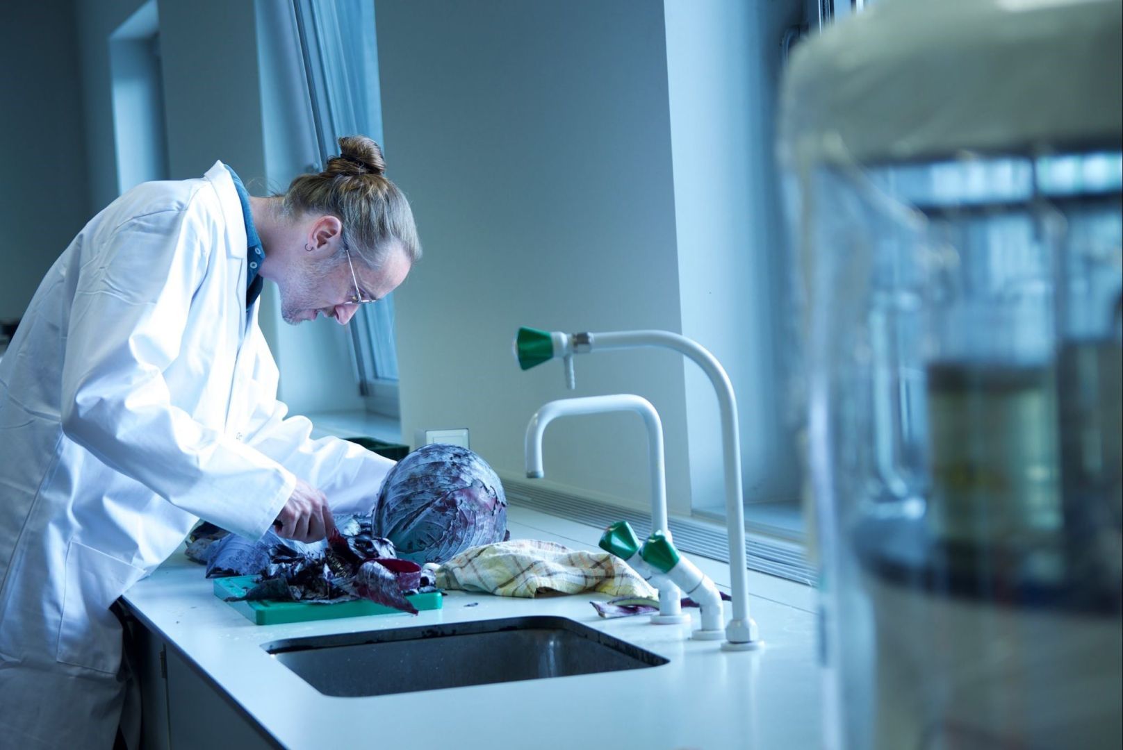 Landegemse rode kool krijgt tweede leven onder de microscoop: Odisee-onderzoeker ontwikkelt duurzame kleurstof voor medische labo's
