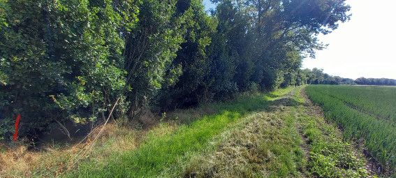 Pflegearbeiten zum Erhalt wertvoller Biotope