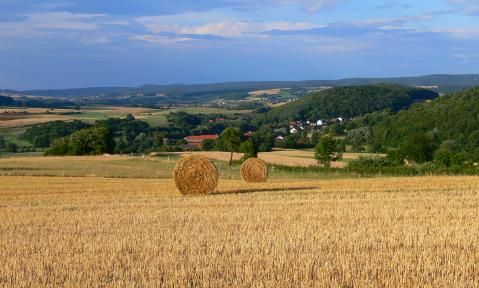 Anliegen des Bauernverbandes zur Herbst-Agrarministerkonferenz