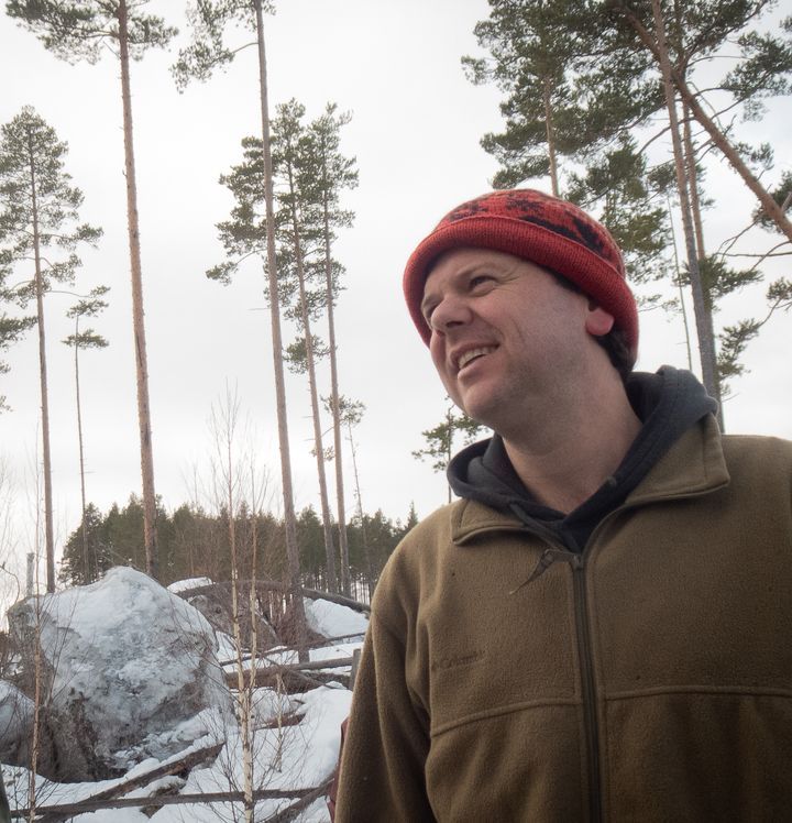 Trøbbel for elgjegere: Elgkalvene blir stadig mindre