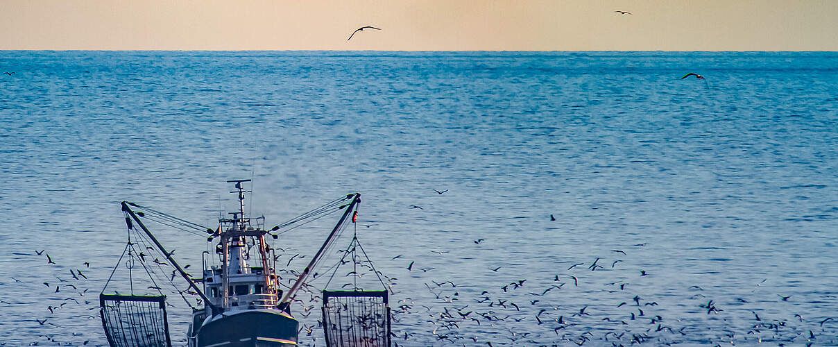 Nebeneinander im Wattenmeer ermöglichen