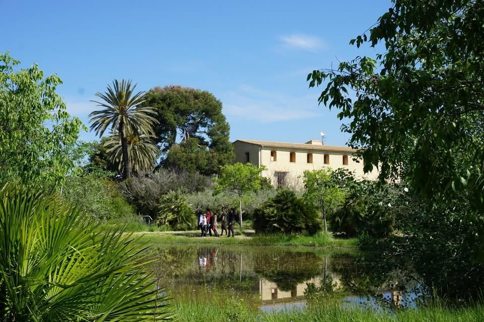 La Generalitat ofrece nuevos cursos gratuitos para aprender a generar menos residuos y conocer el patrimonio ambiental valenciano
