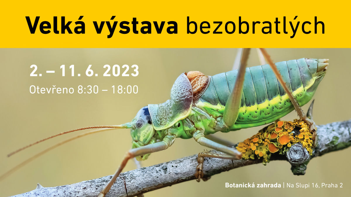 Velká výstava bezobratlých se vrací do Botanické zahrady PřF UK v Praze