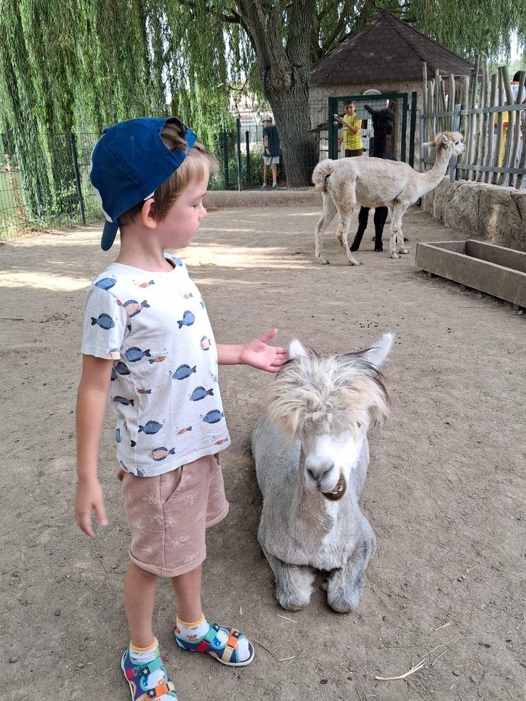 Mama päťročného Timoteja s autizmom: Hneď by som išla pracovať. Keby sa to dalo