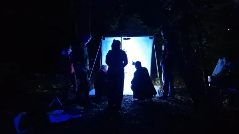 3.939 soorten gevonden tijdens Expeditie Stadsnatuur