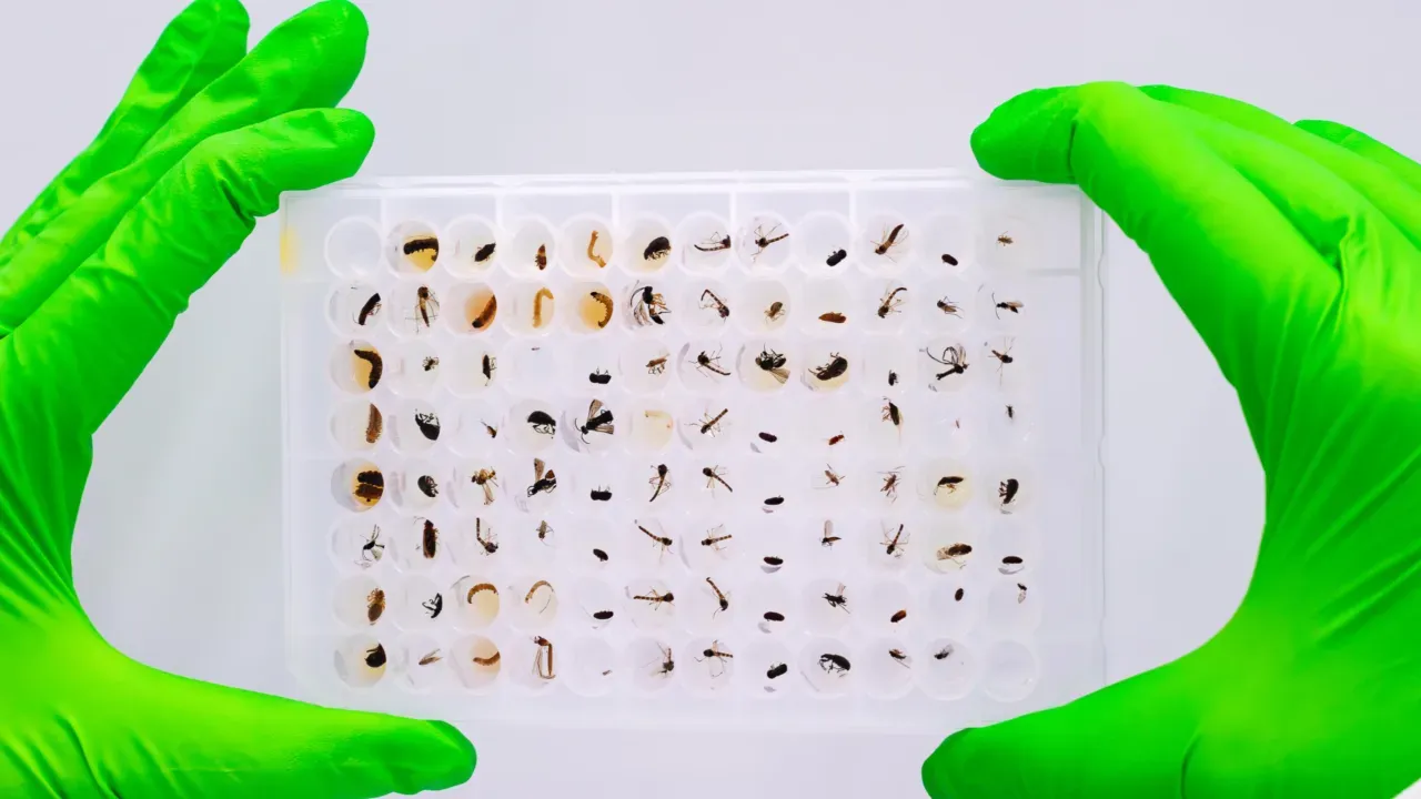Nederlandse natuur beter herkend dan ooit ARISE kent alle soorten