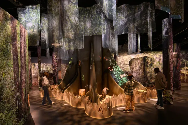 Naturalis opent tentoonstelling 'Het bos van Suriname'