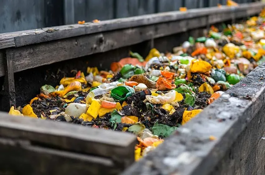 Desperdicio alimentario en la UE: implicaciones normativas, ambientales y sociales