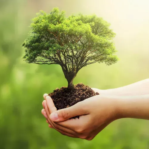 Le Crédit Agricole lance Crédit Agricole Capital Naturel, un nouveau pôle dédié à la préservation, la régénération et à la valorisation du capital naturel