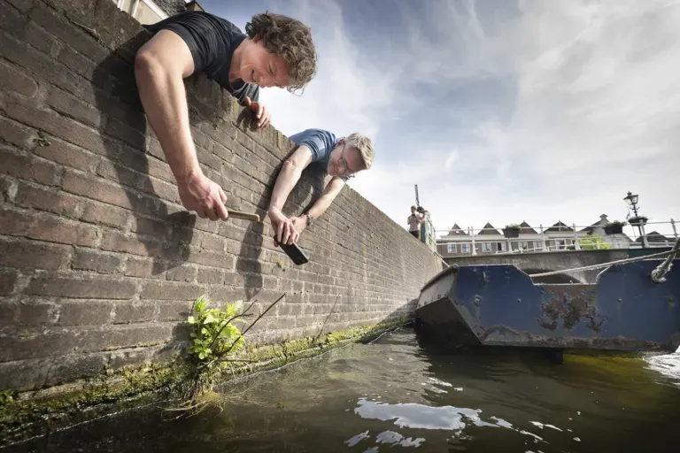 Expeditie Stadsnatuur Zoek mee! Van 1 mei tot 30 juni