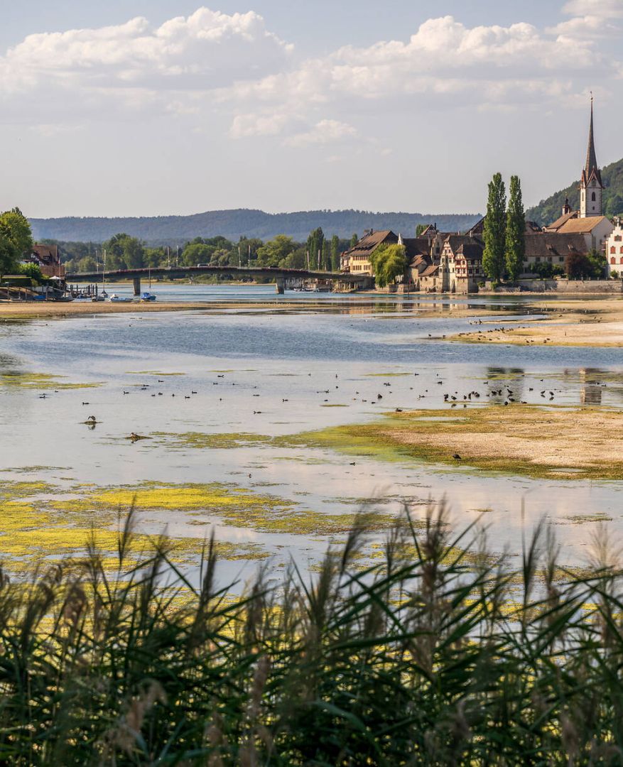 Die Natur ist unsere beste Antwort